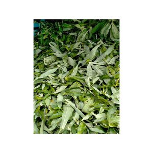 Harina de hoja de yuca de calidad de exportación para alimentación del ganado fuente de fibra proteica sostenible bajo costo altos estándares de nutrición procesados - Product Image 4