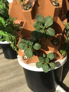 Sistemas Hidropónicos de Alta Capacidad y Torre Aeropónica para Instalaciones de Agricultura Vertical Comercial - Product Image 6