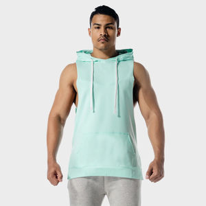Sudadera con capucha de lana sin mangas de algodón 100% de la mejor calidad, logotipo personalizado impreso, ropa de fitness para gimnasio para entrenamientos de otoño, patrón sólido - Product Image 1