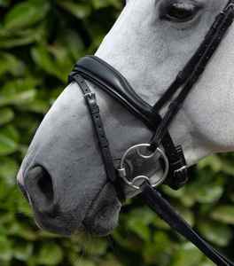 Brida de Cuero Resistente Personalizada para Caballo, Diseño de Silla Inglesa 2026, Perfecta para Equitación al Aire Libre, Servicio OEM Ecuestre - Product Image 6