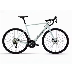 จักรยานวินเทจ Newly Caledonia-105 21 สปีด โครงไทเทเนียม ระบบกันสะเทือนคู่ สำหรับขาย - Product Image 1