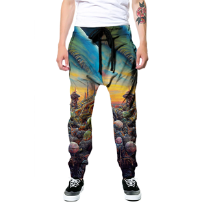 Pantalon de survêtement décontracté pour homme en polyester 100 % de haute qualité, anti-boulochage, léger, sublimé, respirant, avec cordon de serrage - Product Image 4