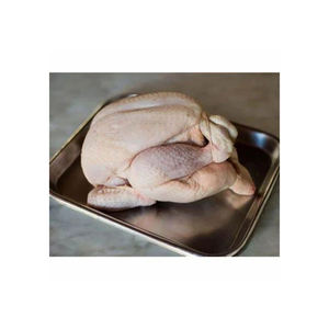 DINDE ENTIÈRE HALAL CONGELÉE/TURQUIE | DINDE ENTIÈRE CONGELÉE TRANSFORMÉE - Product Image 4