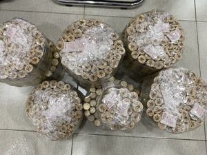 Poteau en bambou Prix bon marché Vietnam/ 100% Poteau en bambou naturel, jardin de soutien aux plantes écologique, décoration - Product Image 4
