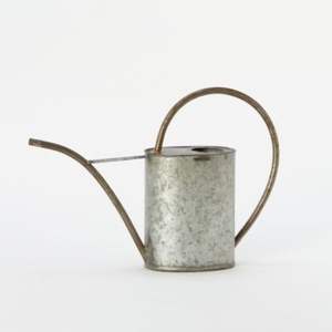 Canette d'eau galvanisée élégante et fonctionnelle idéale pour les amateurs de plantes et l'entretien professionnel du jardin - Product Image 3