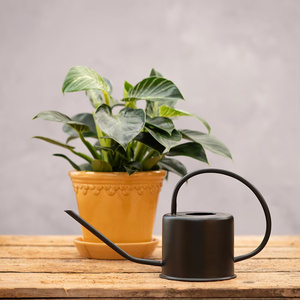 Regadera de metal duradera para jardinería diaria en el hogar, que ofrece un flujo de agua constante para flores, hierbas y huertos. - Product Image 5