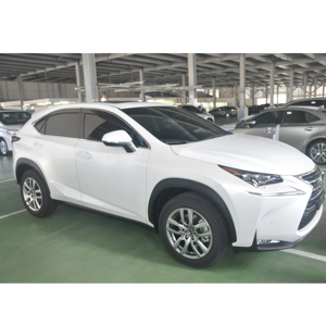 กระบังหน้าประตูหน้าต่างแบบฉีดพ่นด้วยโครเมียมทำจากสแตนเลสแผ่นเบนทางลมสำหรับ NX 14-21แผ่นเบี่ยงรถยนต์ - Product Image 3