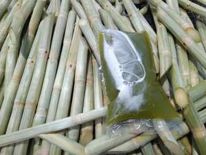 Caña de Azúcar 100% Natural, producto limpio hecho en Vietnam, venta al por mayor, alta calidad, sabor dulce, buen precio - Product Image 4