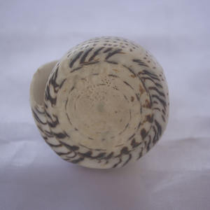 Conus Shell tallado Ganesha ornamento Feng Shui SEASHELL JOYERÍA con técnica cruda con estilo de animal religioso Dios tallado - Product Image 3