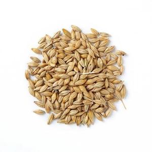 Meilleur aliment pour le grain d'orge/le grain de Malt d'orge/l'orge pelée prêt - Product Image 1