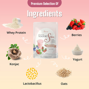EVERFOOD Yogurtslim Mixberries, Polvo Sustituto de Comida |   Bebida Dietética Instantánea Alta en Proteínas |   Halal Malasia 400g - Product Image 6