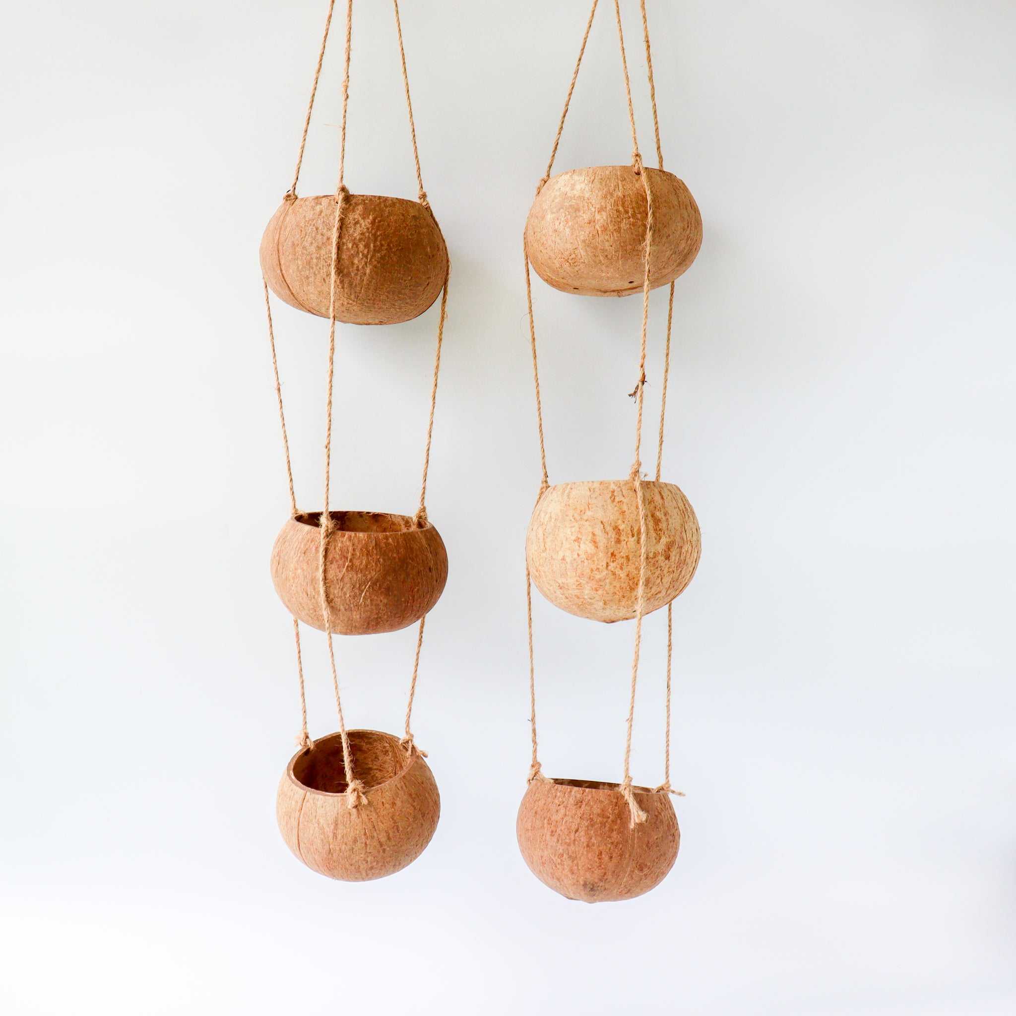 ธรรมชาติ