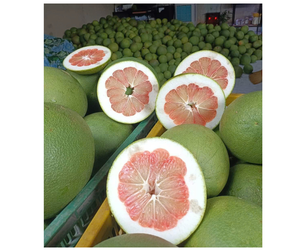 Pomelo de Miel de Alta Calidad en Venta - Pomelo de Miel de Piel Gruesa y Suave para Compradores Mayoristas - Product Image 2