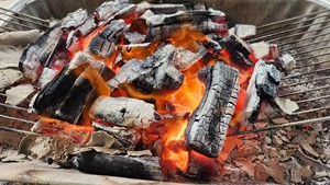 Charbon de bois naturel de pomelo Charbon de bois noir pour barbecue à shisha et narguilé Fabriqué au Vietnam Populaire auprès des acheteurs à l'exportation - Product Image 5