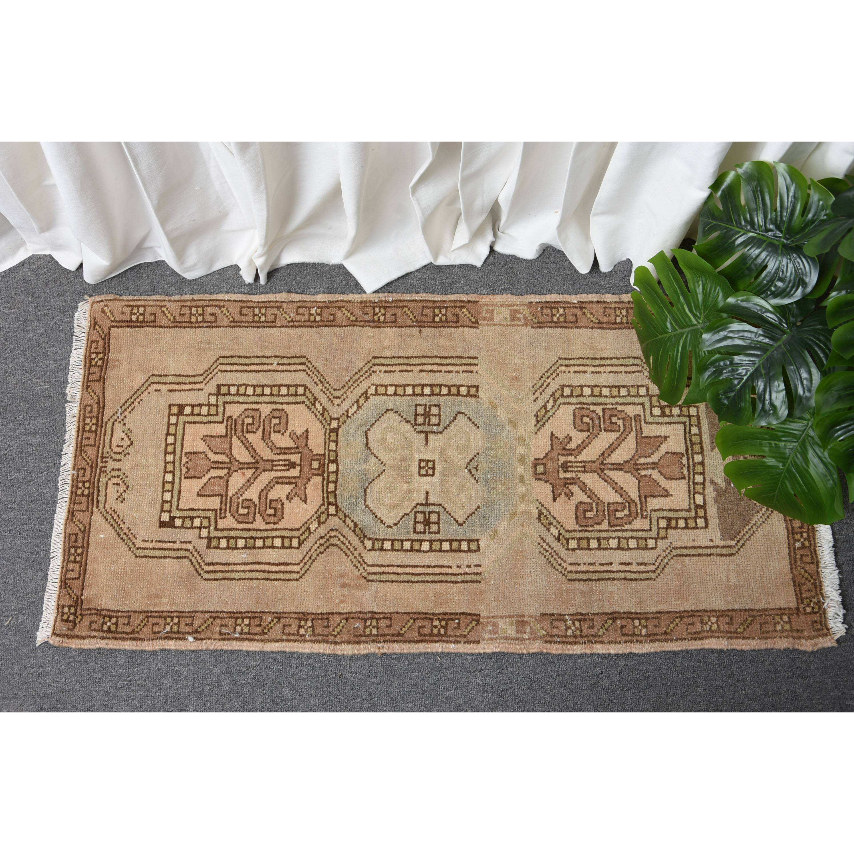 สีน้ำตาล