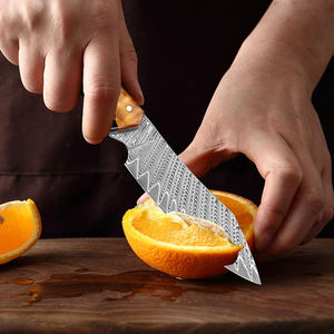 Cuchillo de Cocina Japonés de Acero Damasco de 67 Capas, Cuchillo de Chef Superafilado, Cuchillo para Frutas, Mango de Madera Estabilizada con Resina Negra - Product Image 4