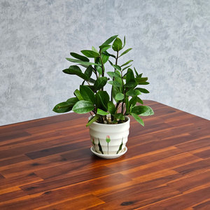 Mesa de Comedor Rectangular de Diseño Industrial 160x80cm de Madera de Acacia con Patas de Hierro, Requiere Ensamblaje BA68169 - Product Image 5