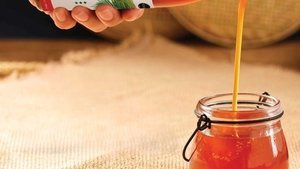 Fournisseur de Nectar de Fleur de Coco Biologique Vietnam - Product Image 3