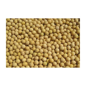 Soja lista para la venta con envío global y soluciones de Embalaje seguro - Product Image 4