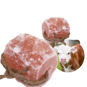 饲料级舔盐 | 喜马拉雅公牛和牲畜块 - Product Image 6