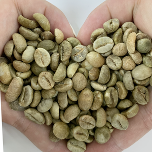 Café Vert Robusta du Vietnam de Qualité Supérieure, Grains Entiers, OEM ODM Disponibles, Vente en Gros, Prix Compétitifs - Product Image 5