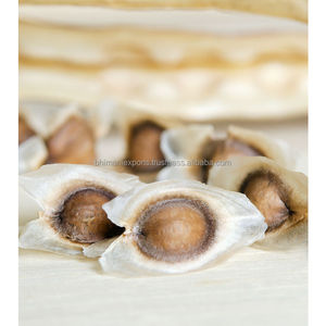 Graines de Moringa fraîches de la meilleure qualité (PMK2) avec 5% d'humidité sans OGM d'origine indienne certifiée APEDA - Product Image 1