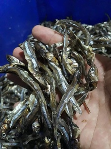 HOT <b>SALE</b> Blue Lotus Dried Anchovy Fish 2025 Natural Dried Seafood - Product Image 6
