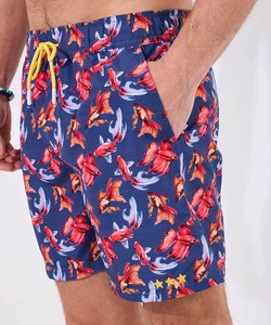 Los fabricantes de Pakistán ofrecen pantalones cortos de verano elásticos para hombre, ligeros, 100% de poliéster, opciones de ajuste OEM, pantalones cortos de malla MOQ - Product Image 4