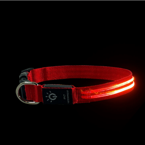 <span class=keywords><strong>Collar</strong></span> LED para Perro, <span class=keywords><strong>Collar</strong></span> Luminoso para Perro con Luces Recargables por USB, <span class=keywords><strong>Collar</strong></span> de Seguridad Ajustable, Cómodo y de Malla Suave para Perros Pequeños - Product Image 4