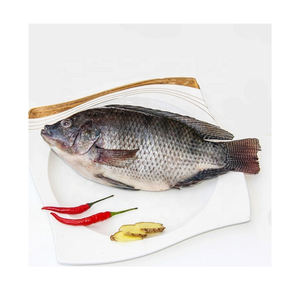 Tilapia congelada de alta proteína, calidad superior, congelada y sellada al vacío - Product Image 2