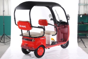 2025 CE nuevo triciclo bicicleta eléctrica 800W CAMIÓN Tuk scooter de <span class=keywords><strong>3</strong></span> ruedas tándem gordo <span class=keywords><strong>Europa</strong></span> - Product Image 3