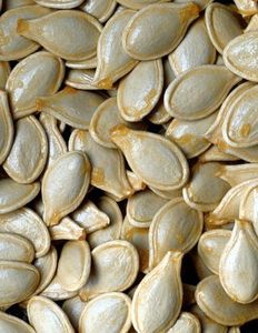 SEMILLAS DE CALABAZA PREMIUM/RICO EN NUTRIENTES/ETIQUETA LIMPIA/POTENCIA DE PLANTAS - Product Image 1