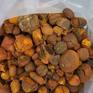 100% Cálculos biliares naturales de buey/Cálculos biliares de ganado/Cálculos biliares de vaca Alimentación animal - Product Image 3