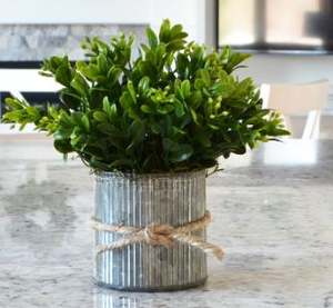 Maceta colgante hecha a mano con revestimiento negro, nuevo diseño, forma de alambre, última maceta colgante para decoración de hotel en casa, uso a bajo precio - Product Image 6