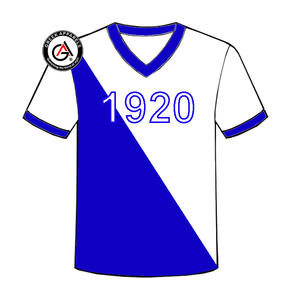 Zeta Phi Beta Soror Ropa de mujer de alta calidad Camisas de mujer al por mayor Manga corta Moda Unisex Cuello en V Camisetas de mujer - Product Image 2