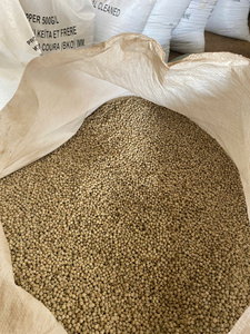 พริกไทยขาวทรงกลมแห้งเมล็ดเพอร์แซท - Product Image 5