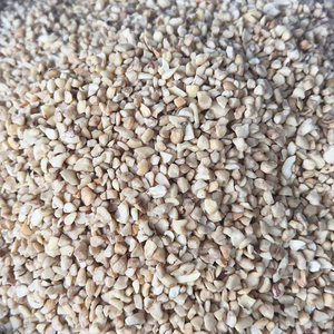 เมล็ดถั่วเมล็ดมะม่วงหิมพานต์แซนติโกเม็ดมะม่วงหิมพานต์จากเวียดนาม - Product Image 1