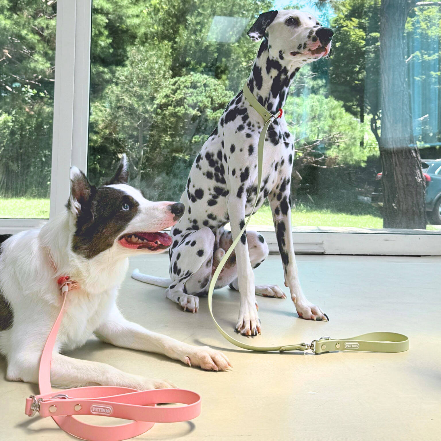 สีเขียว