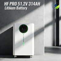 Batterie solaire LiFePO4 8000 cycles 16 kWh 314 Ah 51,2 V avec BMS intelligent CAN et protection IP54 pour systèmes solaires AL-MB512628