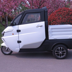 Camión Eléctrico de Baja Velocidad MNJ1C - Product Image 1