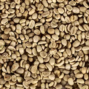 wholesale coffee beans