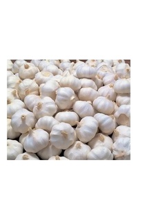 กระเทียมผักสดพรีเมี่ยม - Product Image 5