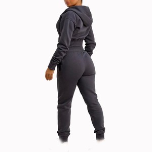 Conjunto de Sudadera Corta con Cremallera y Pantalones Deportivos para Mujer, Cintura Elástica, Felpa de Algodón, Ropa Urbana de Dos Piezas para Marca Privada OEM - Product Image 2