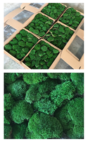 Fournitures florales Vert Préservé Renne Mousse Mur Massif Pôle Mousse Stabilisé Fleurs Préservées pour Noël en vente