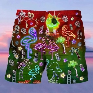 Short de plage et de basket-ball d'été décontracté pour hommes Floral arc-en-ciel 100% Polyester mignon maillot de bain hawaïen sport sec maillot de bain grande taille - Product Image 2