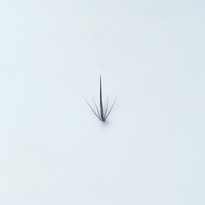 Belleza de nicho única encantadora para extensiones de pestañas suaves y esponjosas Nuevo diseño a granel para exportación - Product Image 5