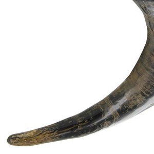 แก้วดื่มฮอร์นทำมือทำจากธรรมชาติสำหรับเพื่อน - Product Image 3