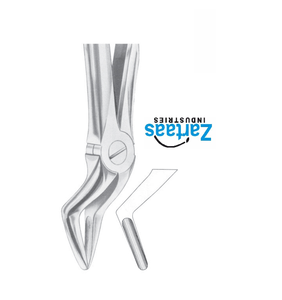 คีมสกัดรากด้านบนทำจากสแตนเลสผู้ผลิตและส่งออก - Product Image 6