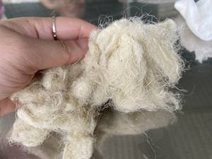 Fibra de planta de piña de Vietnam para ropa sostenible Cuerda natural y aplicaciones de muebles para el hogar - Product Image 6