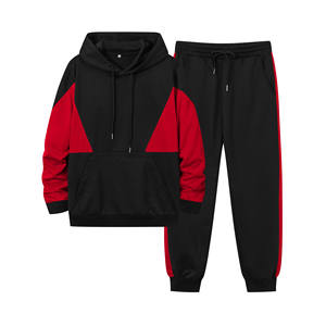 Conjunto de 2 Piezas de Sudadera con Capucha y Pantalones Deportivos de Felpa 100% Algodón para Hombre, Invierno, Impresión de Logotipo Personalizada, Conjuntos Deportivos, Chándales Unisex - Product Image 4
